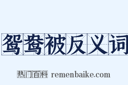 鸳鸯被反义词是什么意思的图片